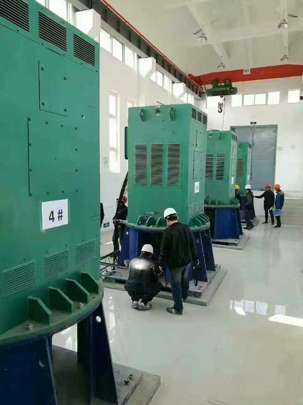 青山湖某污水处理厂使用我厂的立式高压电机安装现场